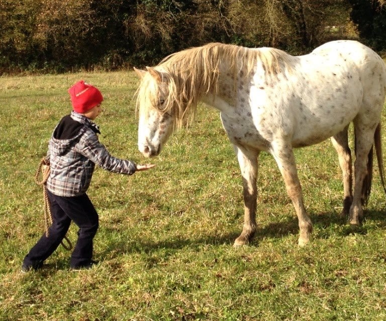 un enfant autiste surmonte sa peur pour donner une récompense au cheval