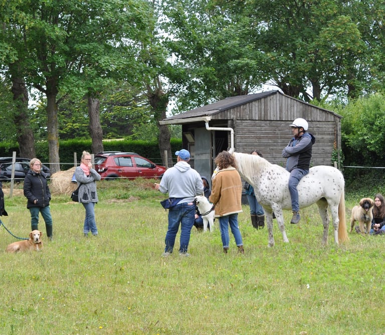 Rémi Bleibtreu equicoach échange avec un groupe de collaborateurs en quête de cohesion d'équipe