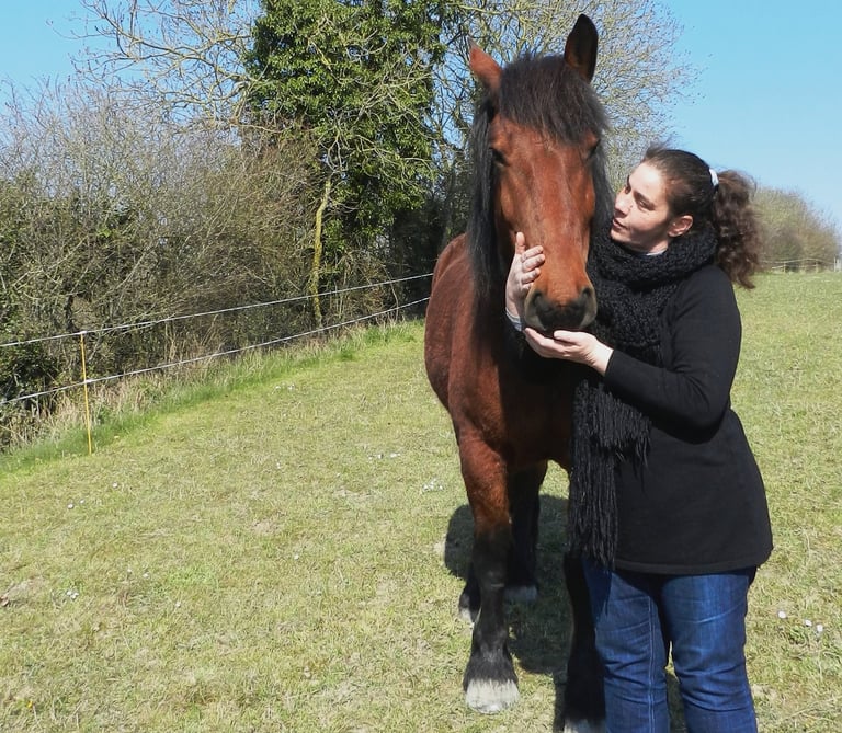 France DANIEL Equithérapeute échange avec son Cheval