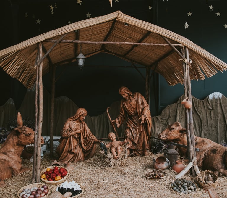 a nativity scene of a nativity of jesus and the animals