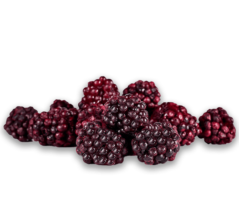 Freeze Dried Blackberry