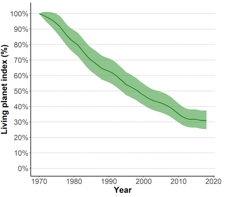Graph of the evolution of the living planet index