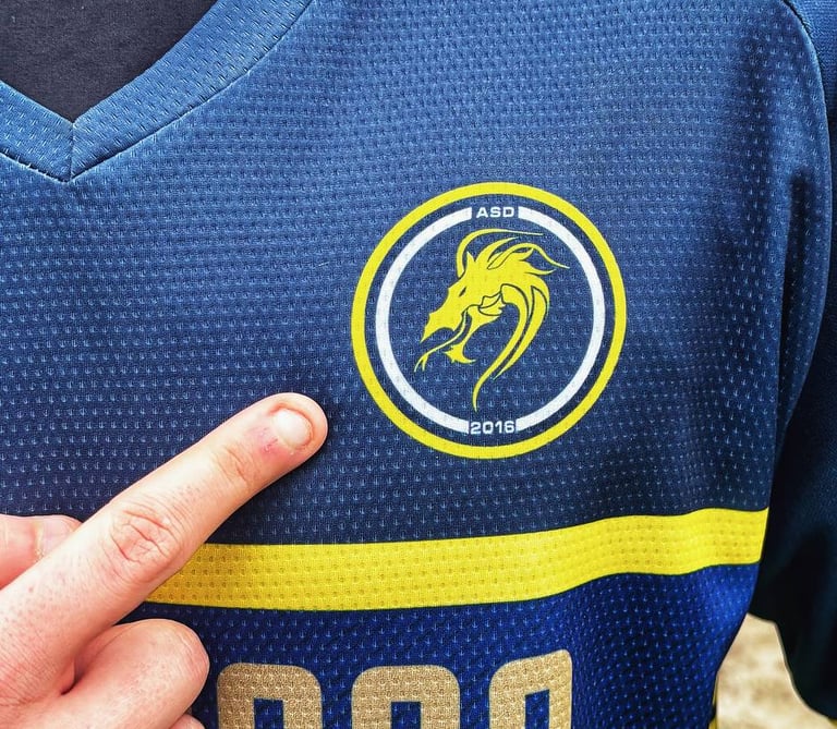 olimpia calcio dal 2016 valori