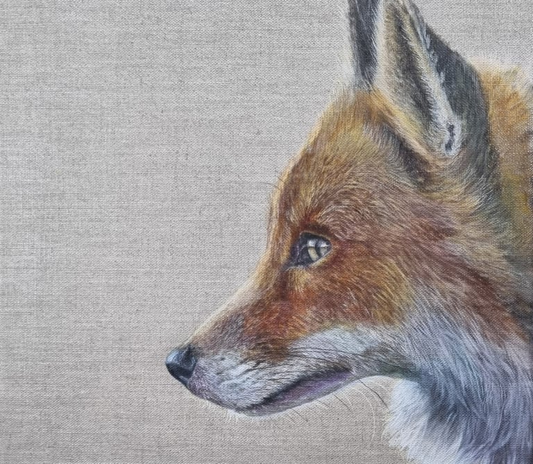 a foxy foxy foxy foxy foxy foxy foxy fox