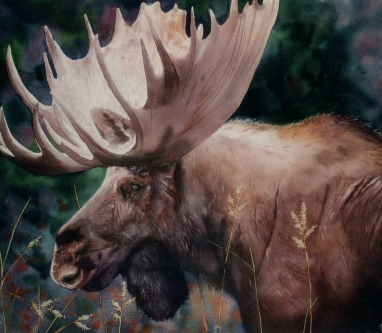 a moose