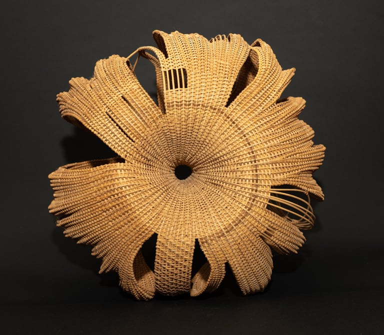 Number 19, 2008, cane, reed