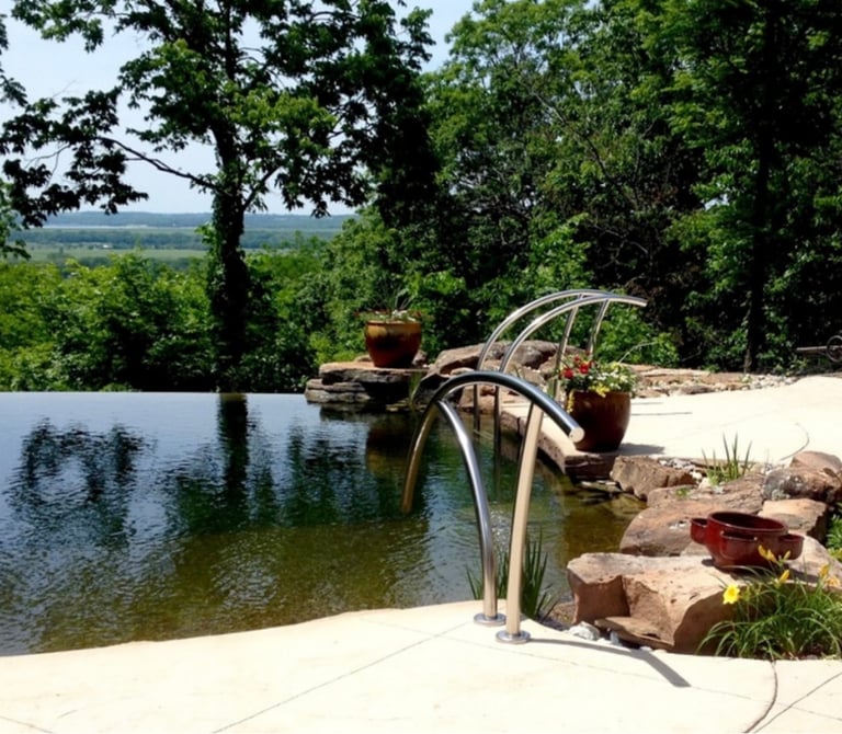 Modern bio pool with infinity edge, minimal plantings & advanced bio bead, UV & ozone filtration.