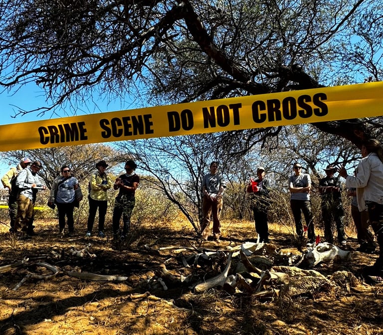 students learning about how to examine a wildlife crime scene