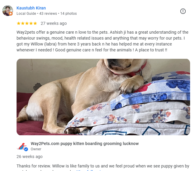 Labrador customer ansal