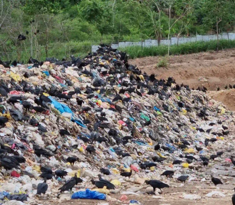 ChatGPT Plus crisis aseo Bogotá, emergencia residuos 2026, contratos recolección basura, licitación