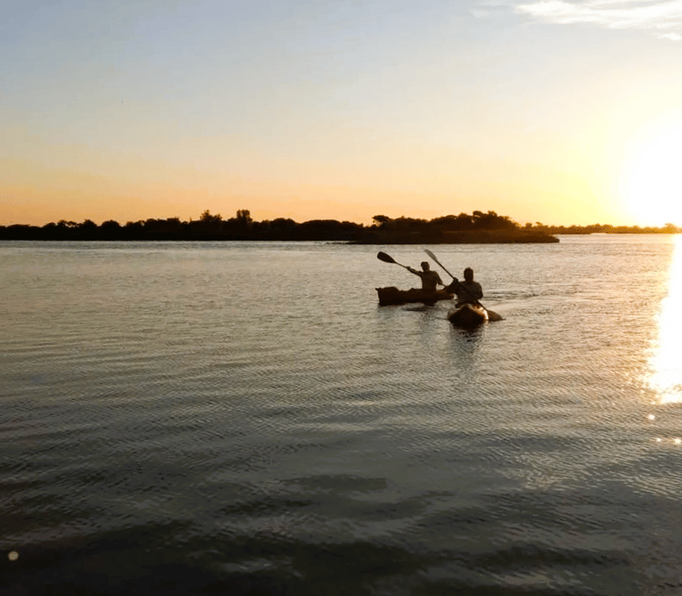 Paseo en kayaks