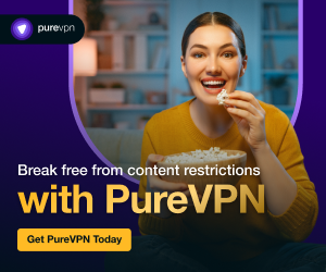 best vpn purevpn