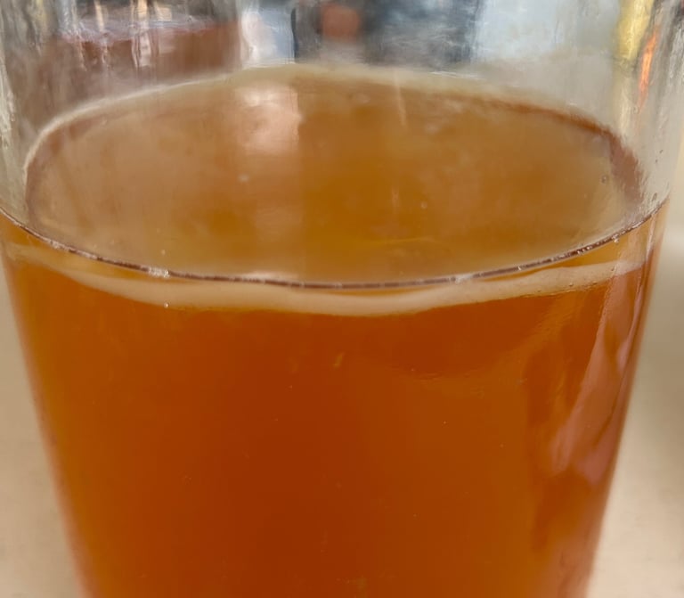 scoby floating in kombucha
