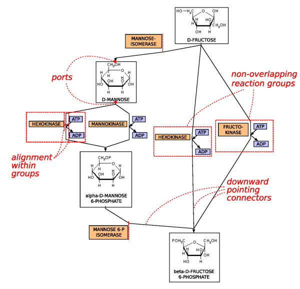 Diagram of a Metabolic Pathway