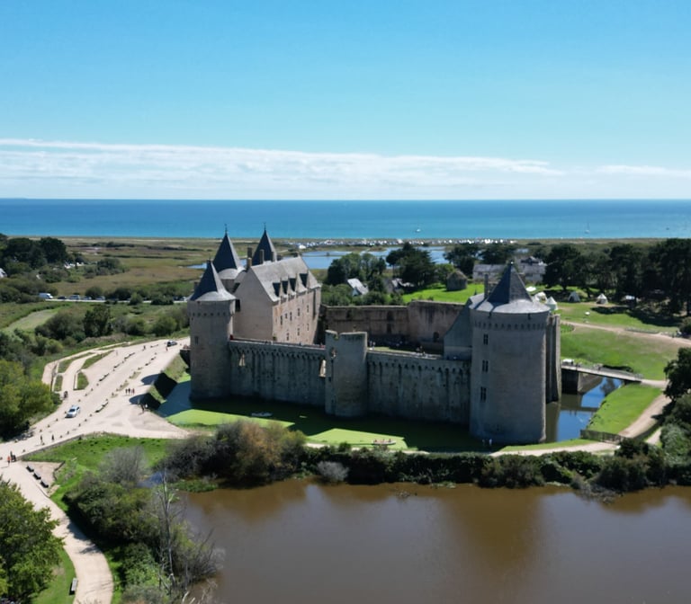 Domaine de Suscinio (56)