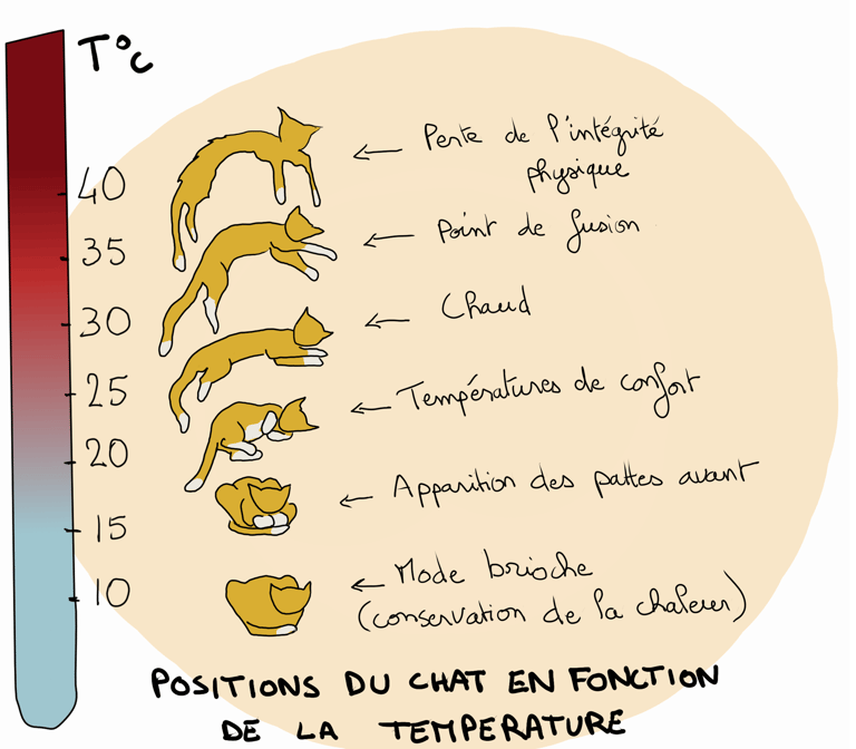 humorous drawing of cat positions depending on temperature