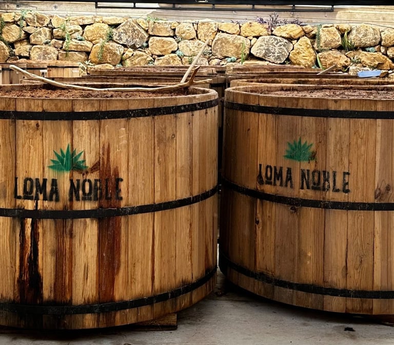 two wooden barrels with a wooden barrel of wine