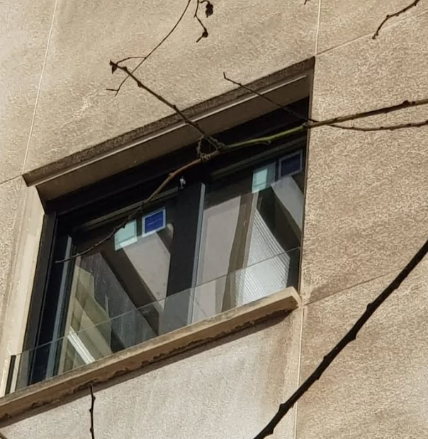 Ventana y Barandilla vidrio