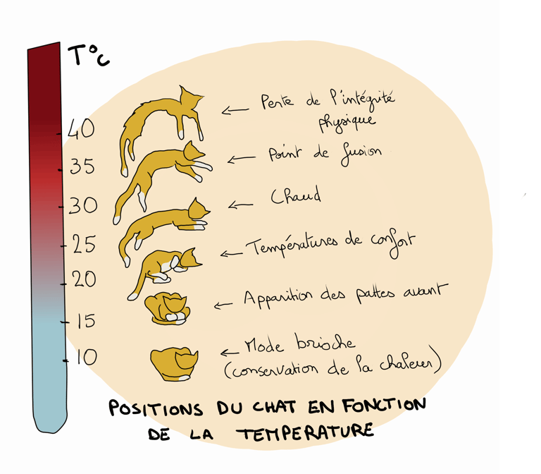 humorous drawing of cat positions depending on temperature