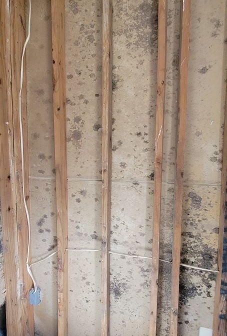 Mold discovered inside wall cavity
