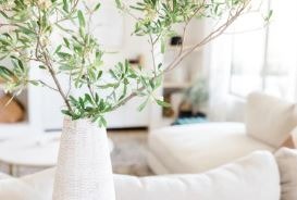 Intérieur lumineux et apaisant illustrant un cadre bienveillant et confidentiel de séance