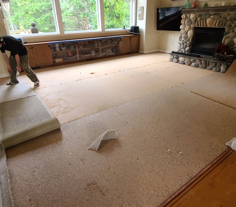 carpet and particle board demo removal