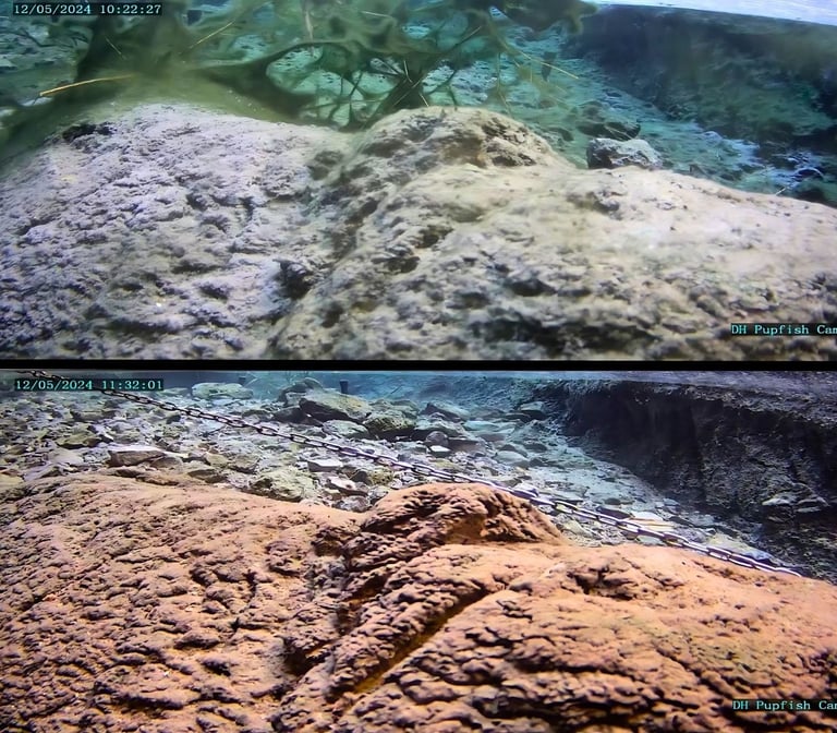 devils-hole-before-and-after-the-seiche-on-december-5