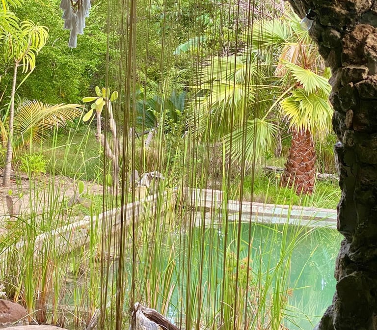 piscine privée