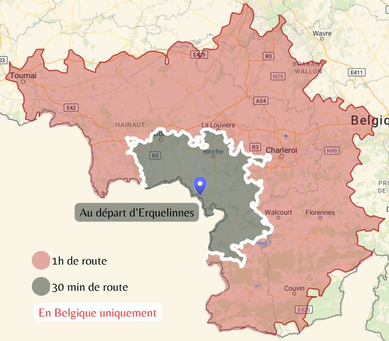 Déplacements dans le Hainaut, Brabant wallon et Namur - séance d'ostéopathie animale en Belgique