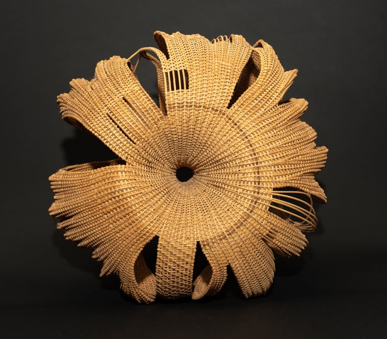 Number 19, 2008, cane, reed