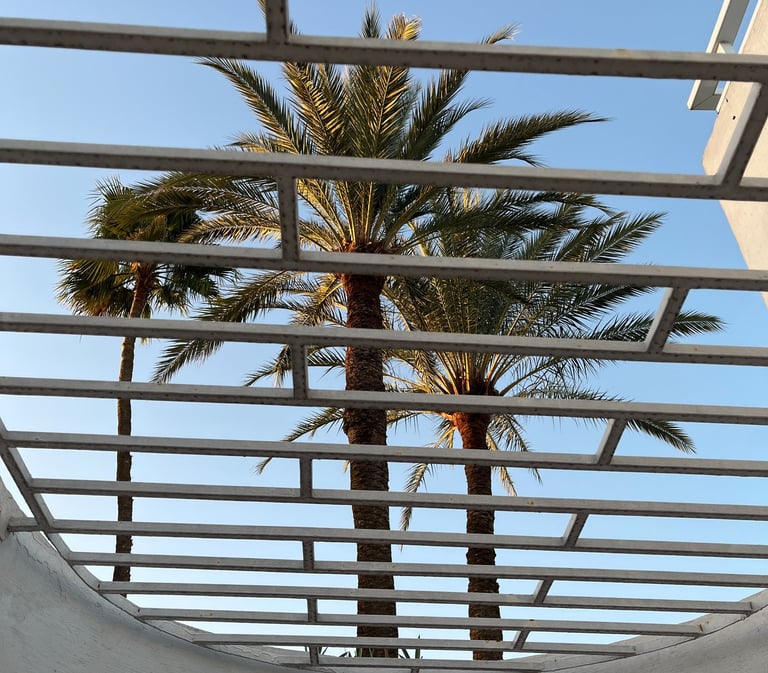 Palm trees behind a railing