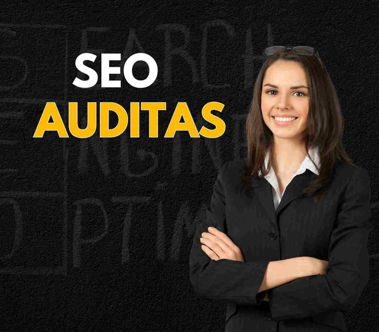 Seo auditas