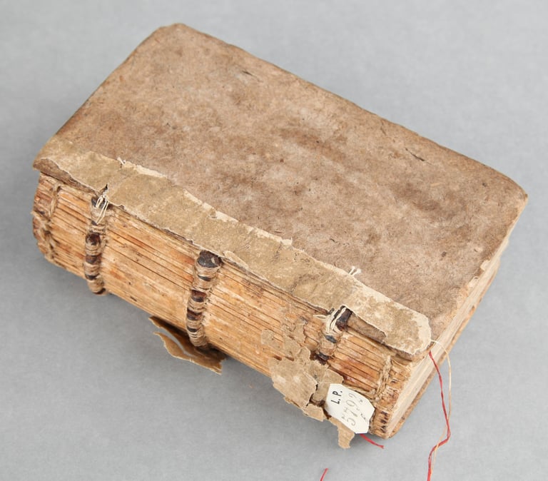 réparation livres anciens