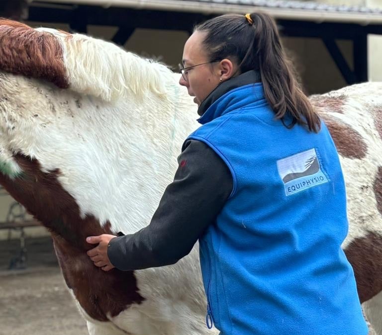Zoé Gavoille praticienne certifiée Equiphysio