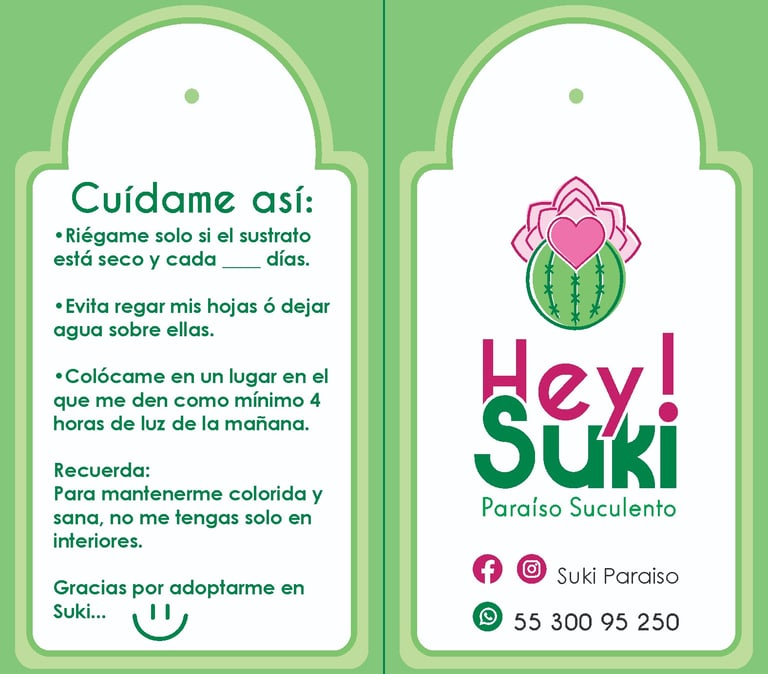 Desarrollo de nombre para productos florales , logotipo, tarjetas y etiquetas de producto