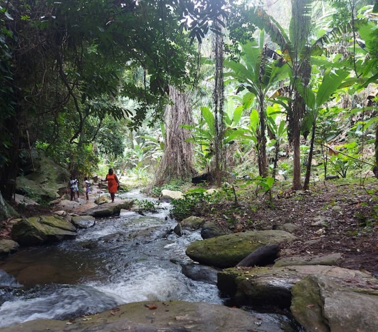 amenope.togo.permaculture