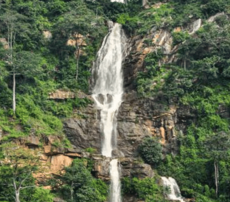 amenope.togo.permaculture