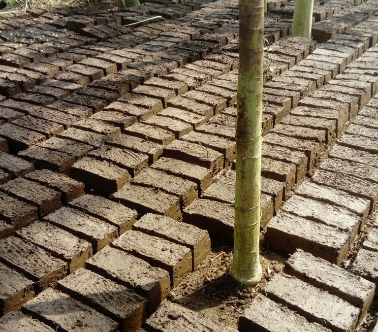 Les briques fabriquées avec l'argile du terrain de la Ferme Aménopé Togo Permaculture
