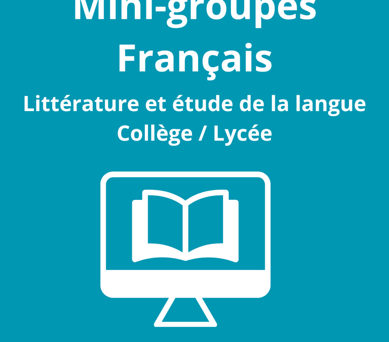 primaire, collége, lycée, soutien scolaire, tarbes, hautes pyrénées, visio , français, littérature