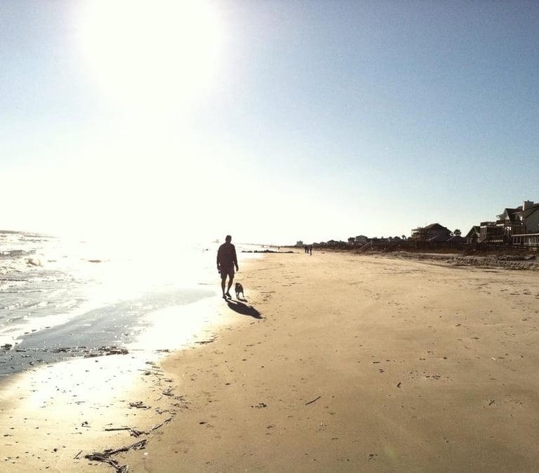 beach walk with beloved pet