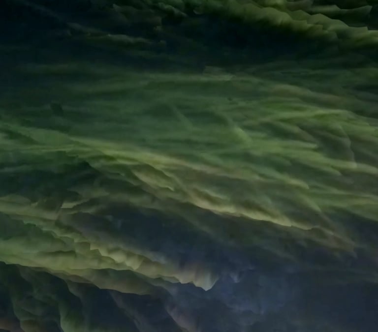 digital art, video installation,  joanna wlaszyn