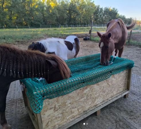 Râtelier pour cheval avec un filet Mansas