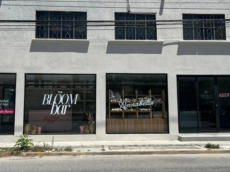 Street view of The Bloom Bar flower shop and Annabella bakery storefront windows with modern signage.