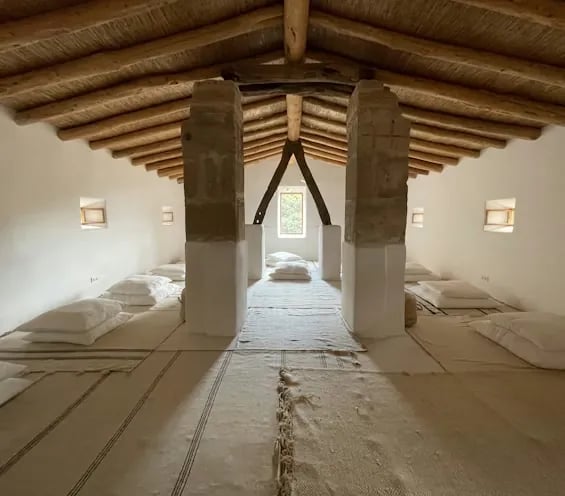 lieu expérience psychédélique encadrée aux Pays-Bas par Neurocybine