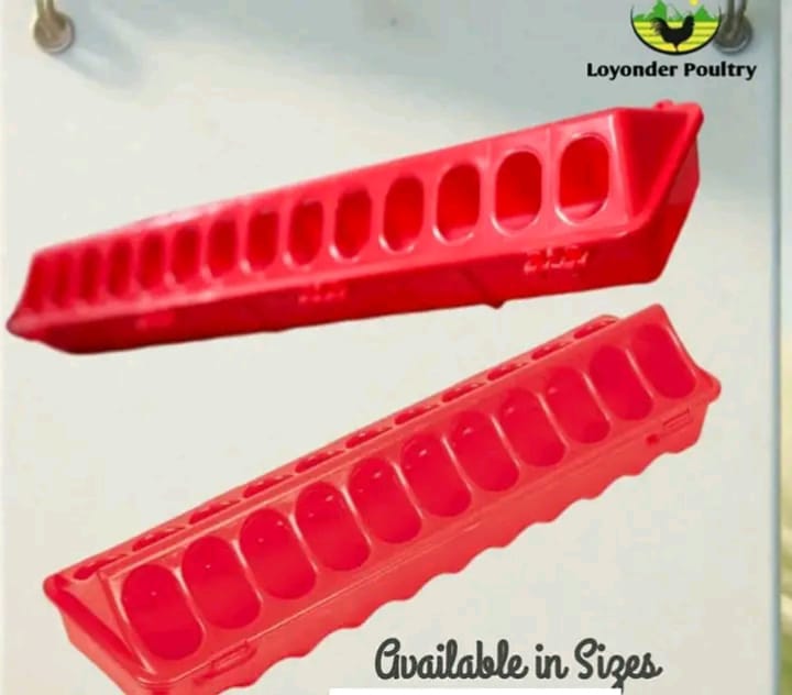 Plastic feeding trough