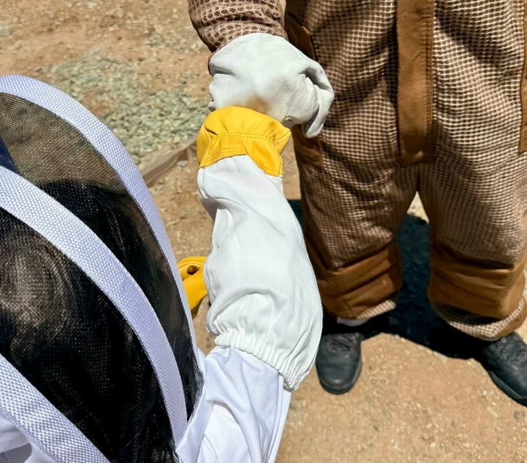 Bee & Wasp Treatment Services in Menifee CA Footprint Pest Management Family & Pet Friendly