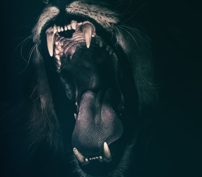 apprendre á ne pas se laisser dépasser par ses émotions