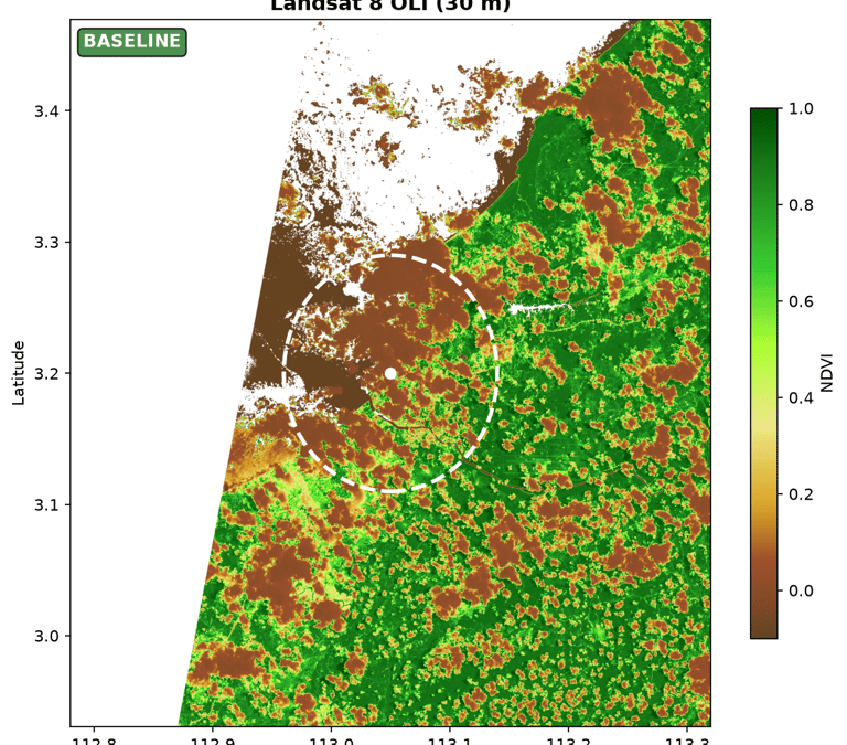 Baseline and recent vegetation-index views, used to compare broad vegetation condition over time.