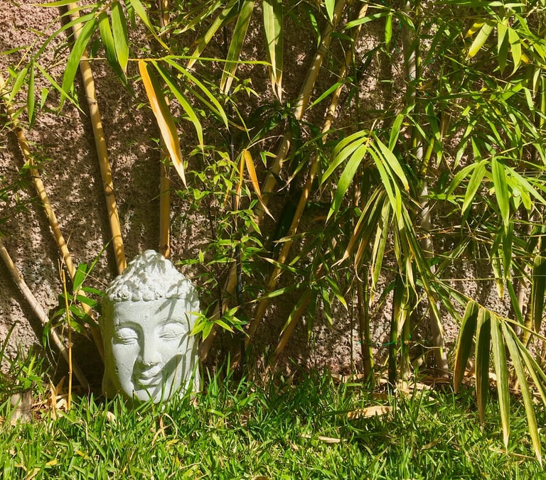 a statue of a buddha head in a bamboo garden at Indigo Star House Madeira