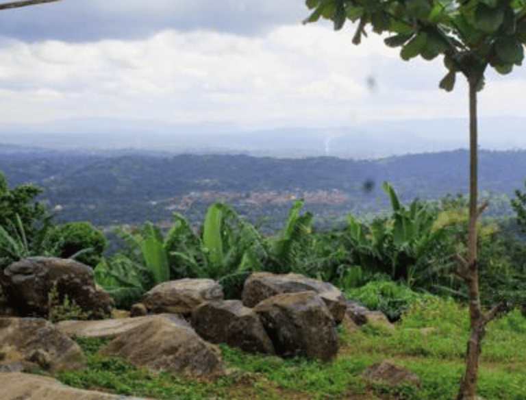 amenope.togo.permaculture